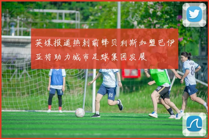 英媒报道热刺前锋贝利斯加盟巴伊亚将助力城市足球集团发展