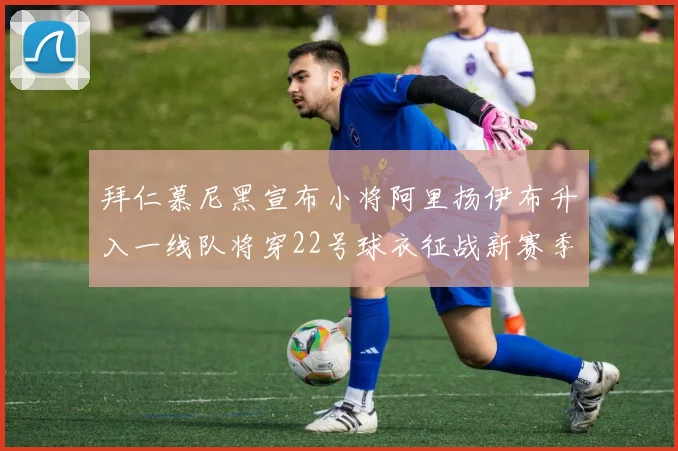 拜仁慕尼黑宣布小将阿里扬伊布升入一线队将穿22号球衣征战新赛季